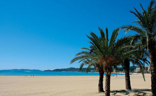 Location  Appartement 