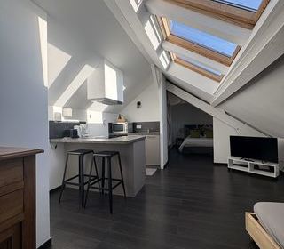  Loft � louer 2 pi�ces 38 m�