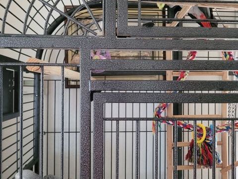  grande cage perroquet 1 83600 Fr�jus