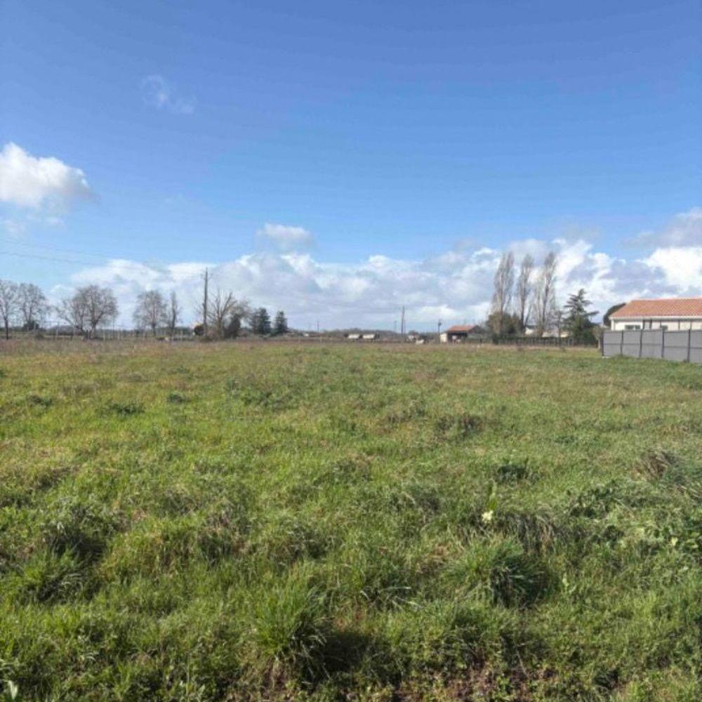 Maisons neuves   Saint-Martin-du-Bois (33910)