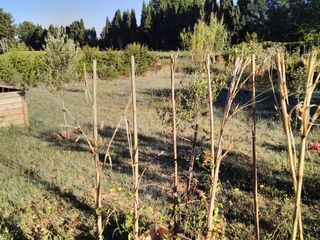  Terrain � louer 105 m�