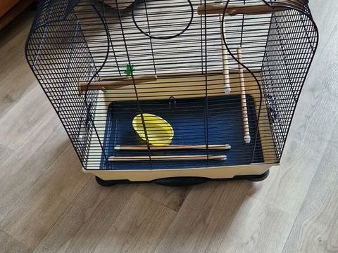 cage oiseaux 30 60180 Nogent-sur-oise