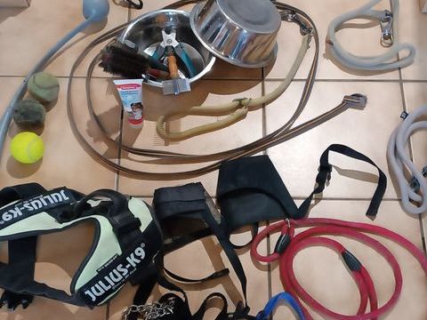 accessoires pour chien 20 95220 Herblay