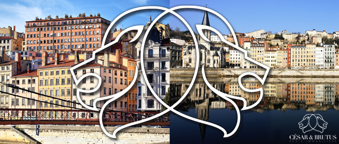 CESAR & BRUTUS, administrateur de biens 69