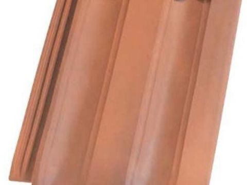 tuile huguenot PV 10 100 55000 Rumont