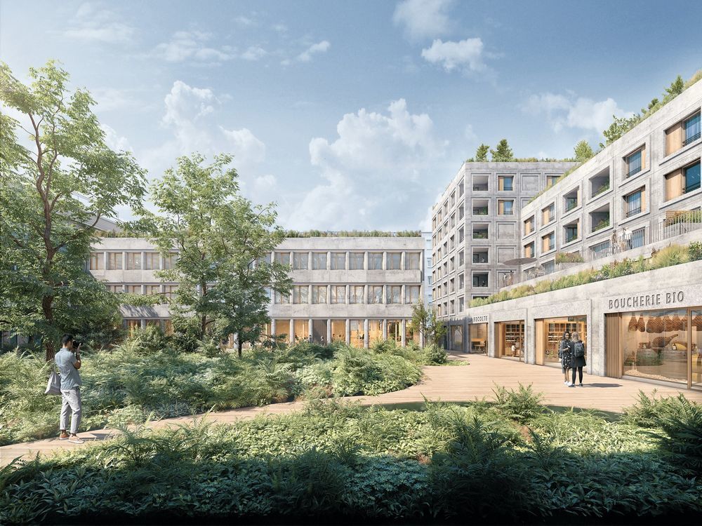 Appartements neufs   Le Havre (76600)