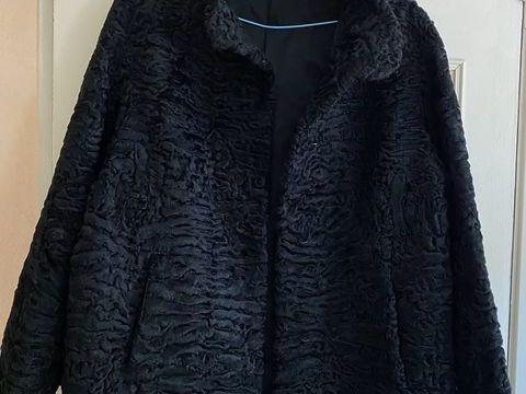Manteau en Astrakan 85 Bretagnolles (27)