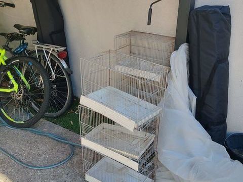 Cage pour oiseaux 15 95100 Argenteuil