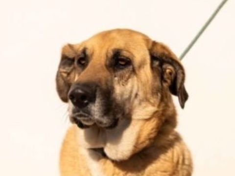 LILA 300 27620 Gasny