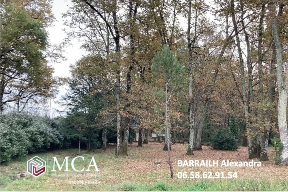 Maisons neuves   Le Taillan-M�doc (33320)