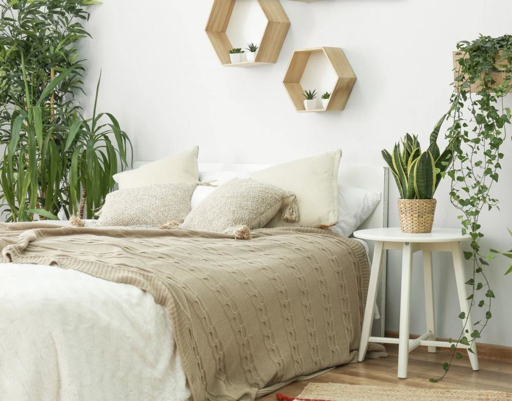 Appartements neufs   Pompertuzat (31450)