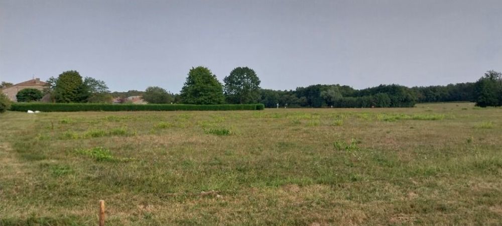 Maisons neuves   Ambar�s-et-Lagrave (33440)