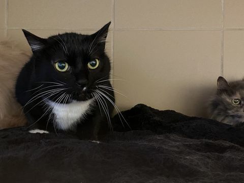 DAISY 50 26700 Pierrelatte