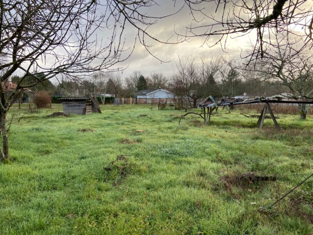 Maisons neuves   Andernos-les-Bains (33510)