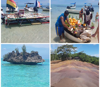 Location  Appartement 