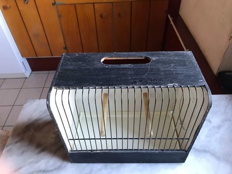 Cages d expositions 20 68850 Staffelfelden