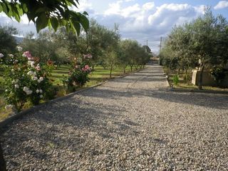  Villa � vendre 8 pi�ces 217 m�