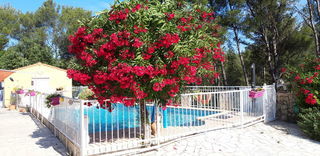 Location  Maison - Villa 