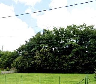  Terrain � vendre 1557 m�