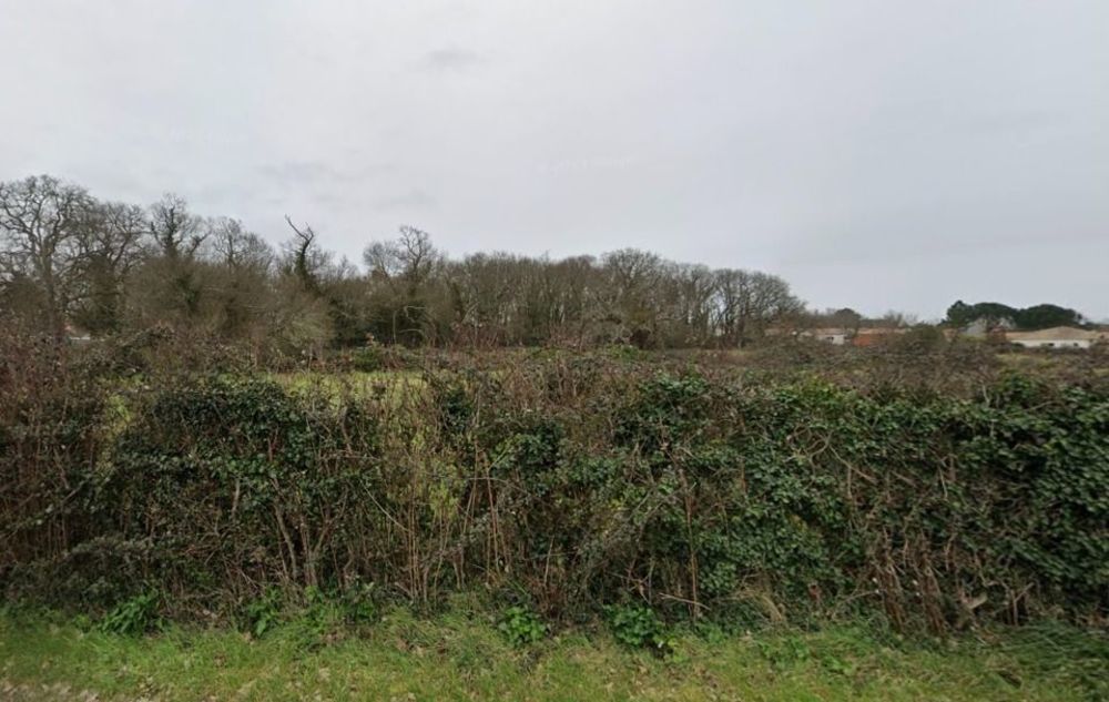 Maisons neuves   �taules (17750)