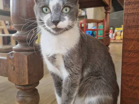 Ma&iuml;ry 220 44000 Nantes