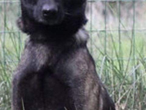 Pako 230 26700 Pierrelatte