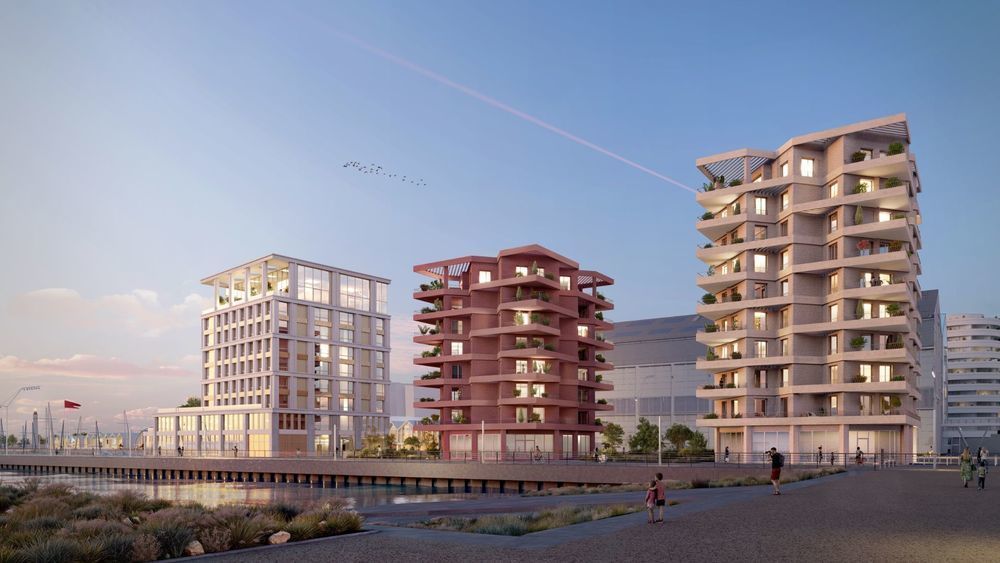 Appartements neufs   Dunkerque (59140)