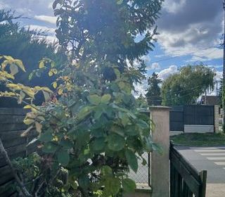  Terrain � louer 200 m�