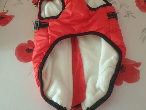 Manteau petit chien 10 95000 Cergy