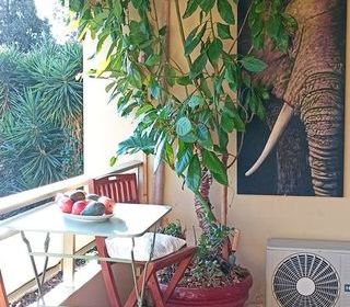  Appartement � vendre 2 pi�ces 38 m�