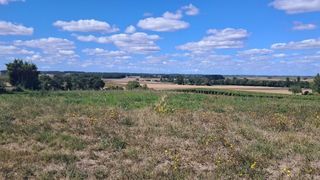  Terrain à vendre 