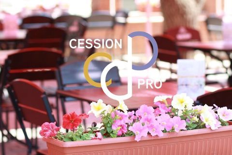 RESTAURANT BAR TABAC FDJ A VENDRE AUX PORTES DES ALPILLES 782560 13210 St remy de provence