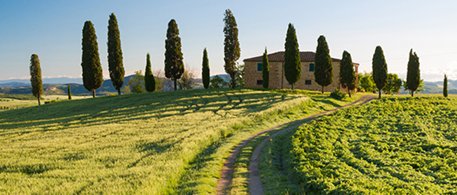 Agence LOUMAN IMMOBILIER R�almont