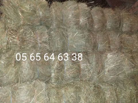 Foin de type bio en petites bottes 2025
2 12700 Loupiac