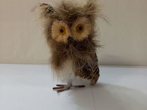 C'est une chouette ou un hibou , a vous de choisir ...       9 Saumur (49)