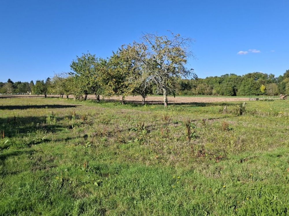 Maisons neuves   Saint-Philippe-du-Seignal (33220)