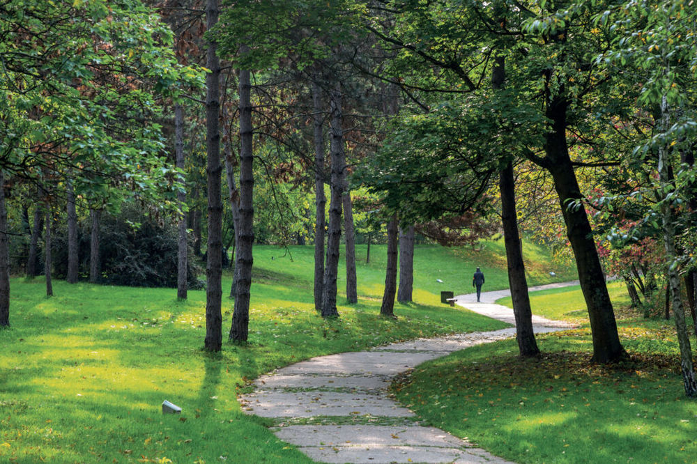   Le Blanc-Mesnil (93150)