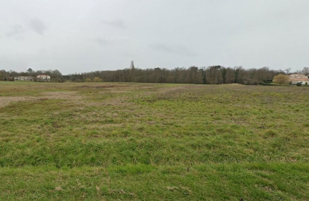 Maisons neuves   Les Mathes (17570)