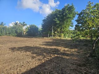  Terrain � vendre 1563 m�