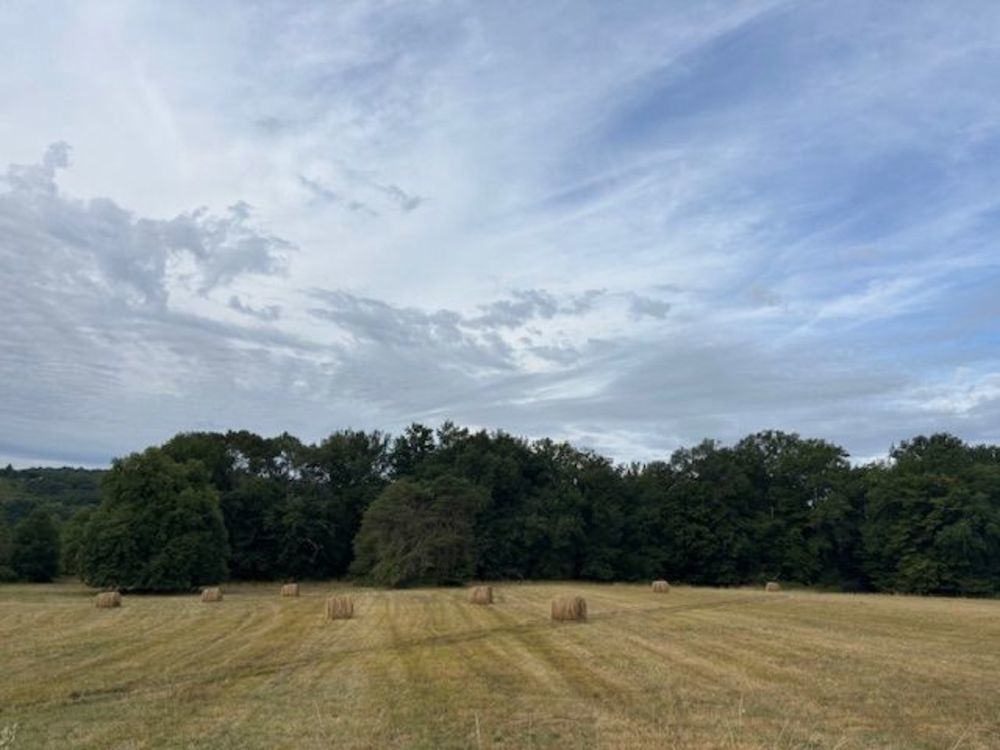 Vente Terrain A VENDRE TERRAIN INDUSTRIEL Coulounieix-chamiers