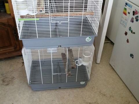 cage oiseau petite taille syle p&eacute;rruche ondul&eacute; canarie serin 30 29490 Guipavas