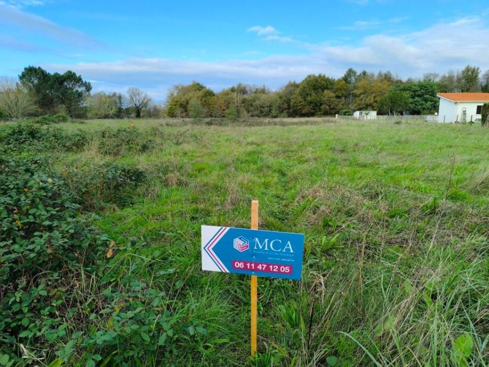 Maisons neuves   Bussac-For�t (17210)