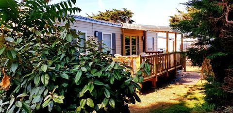 Mobil-Home Mobil-Home 2016 occasion Tr&eacute;gunc 29910