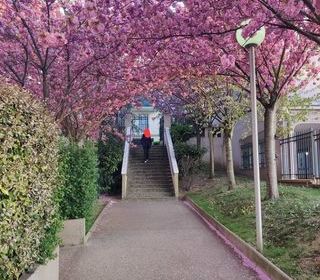  Appartement � vendre 3 pi�ces 45 m�