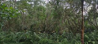  Terrain � vendre 1400 m�