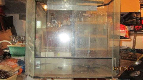 terrarium + accessoires 80 85800 Le fenouiller