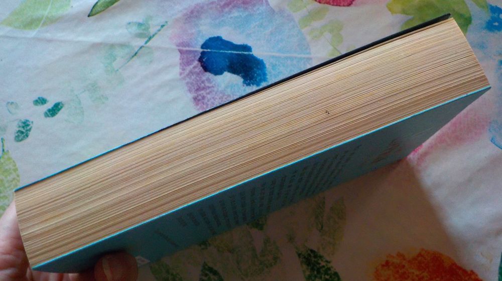CORPS COUPABLE de Laura LIPPMAN Ed. France Loisirs Livres et BD