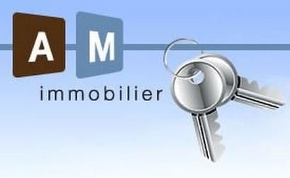 AM IMMOBILIER, agence immobilire 69