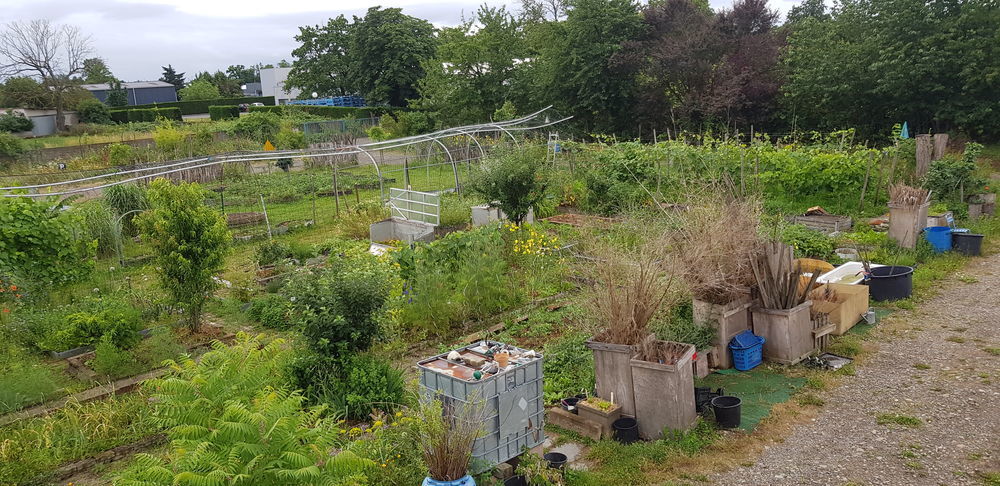 Parcelles de terre &Agrave; louer Jardin