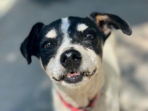 FIONA 320 27620 Gasny